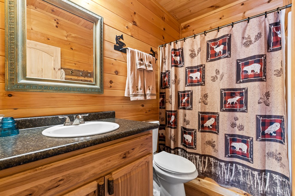 325 Emelia Road Morganton, GA 30560 - Photo 52 of 59 Gallery Image 52