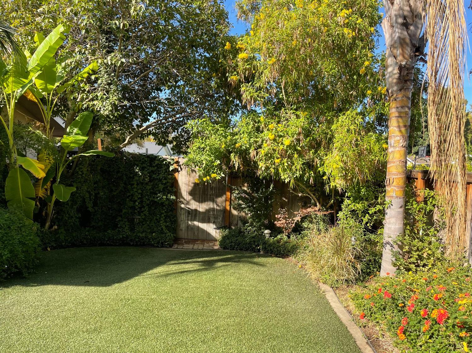 804 West Carpenter Avenue Reedley, CA 93654 - Photo 39 of 43 Gallery Image 39