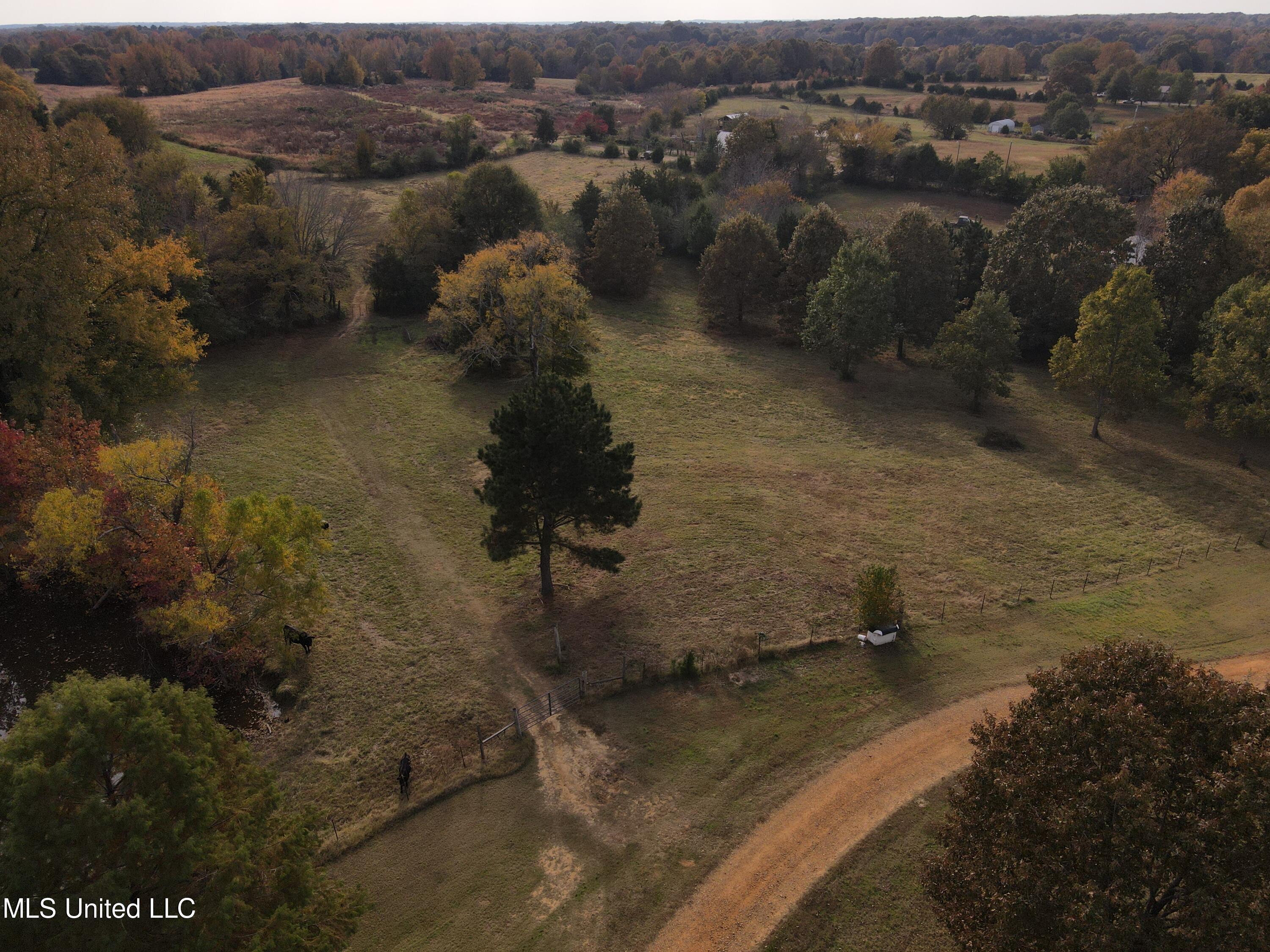 10472 Peyton Road Coldwater, MS 38618 - Photo 12 of 20 Photo Nov 10, 2 57 53 PM