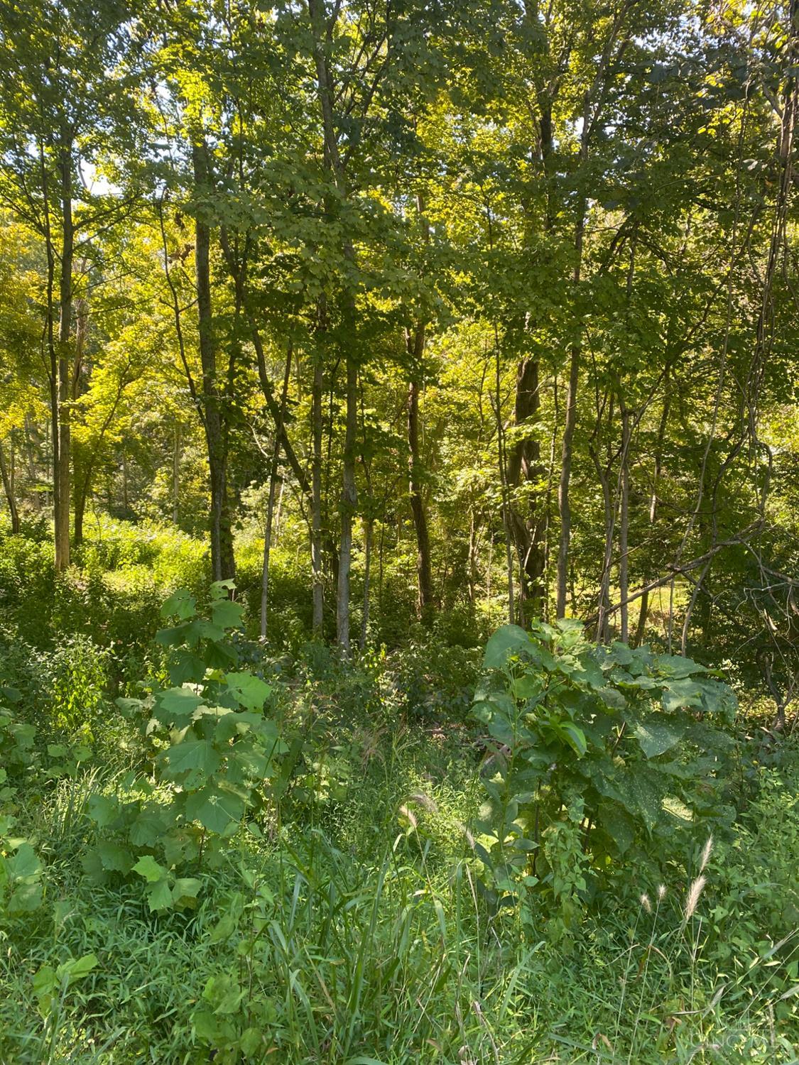 0 Sugar Camp Road Batavia, OH 45103 - Photo 7 of 8