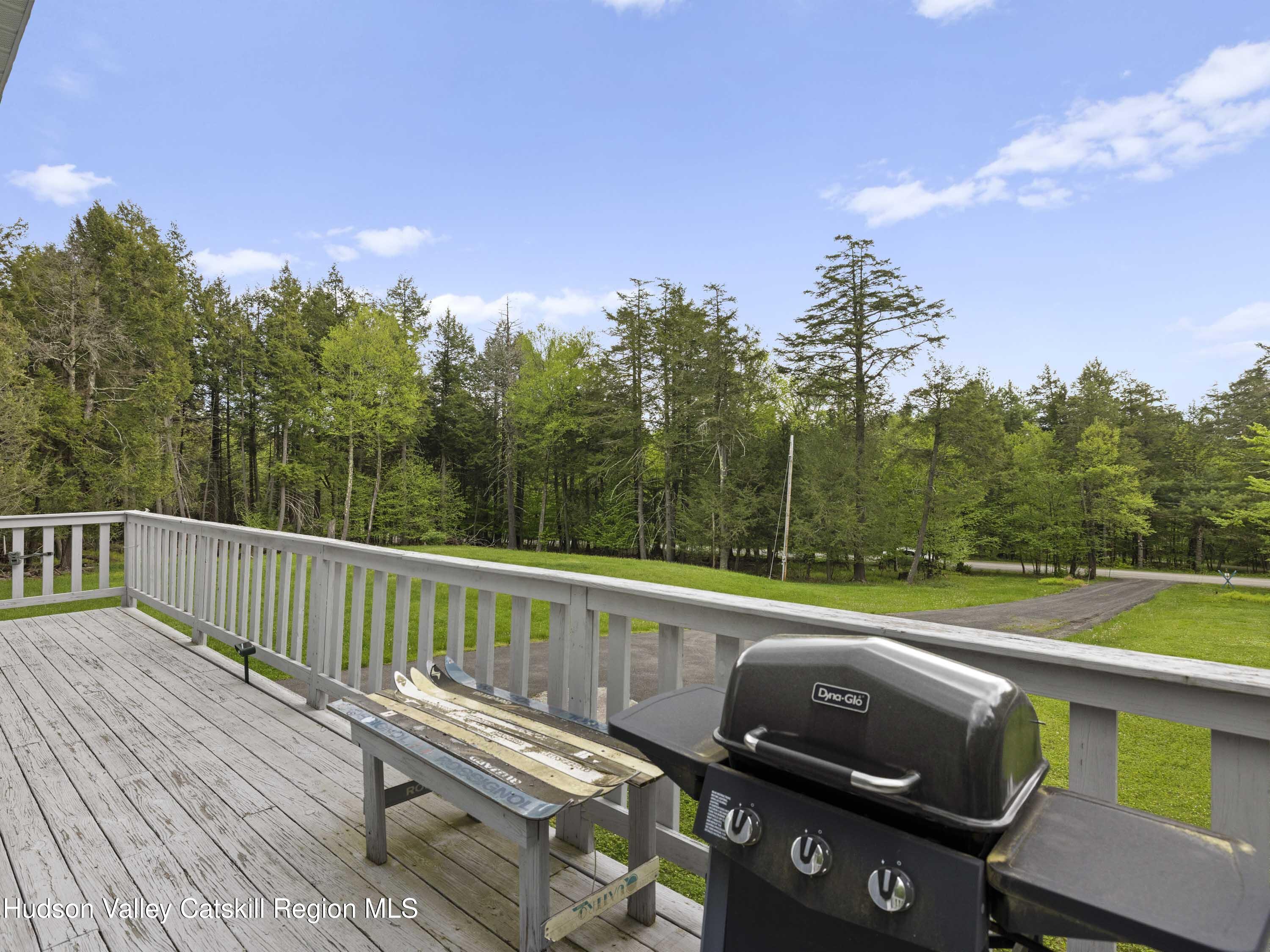 114 Conifer Lake Road West Jewett, NY 12444 - Photo 3 of 41 JRN17078