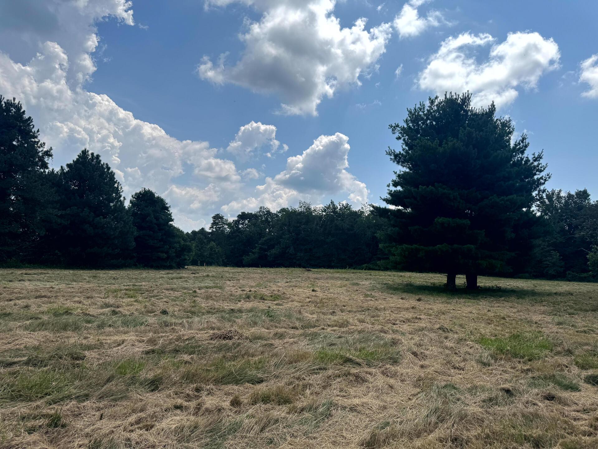 336 Golf Course Road, Unit TRACT 6 SKYLINEACRES) Waverly, OH 45690 - Photo 15 of 36 CT-15