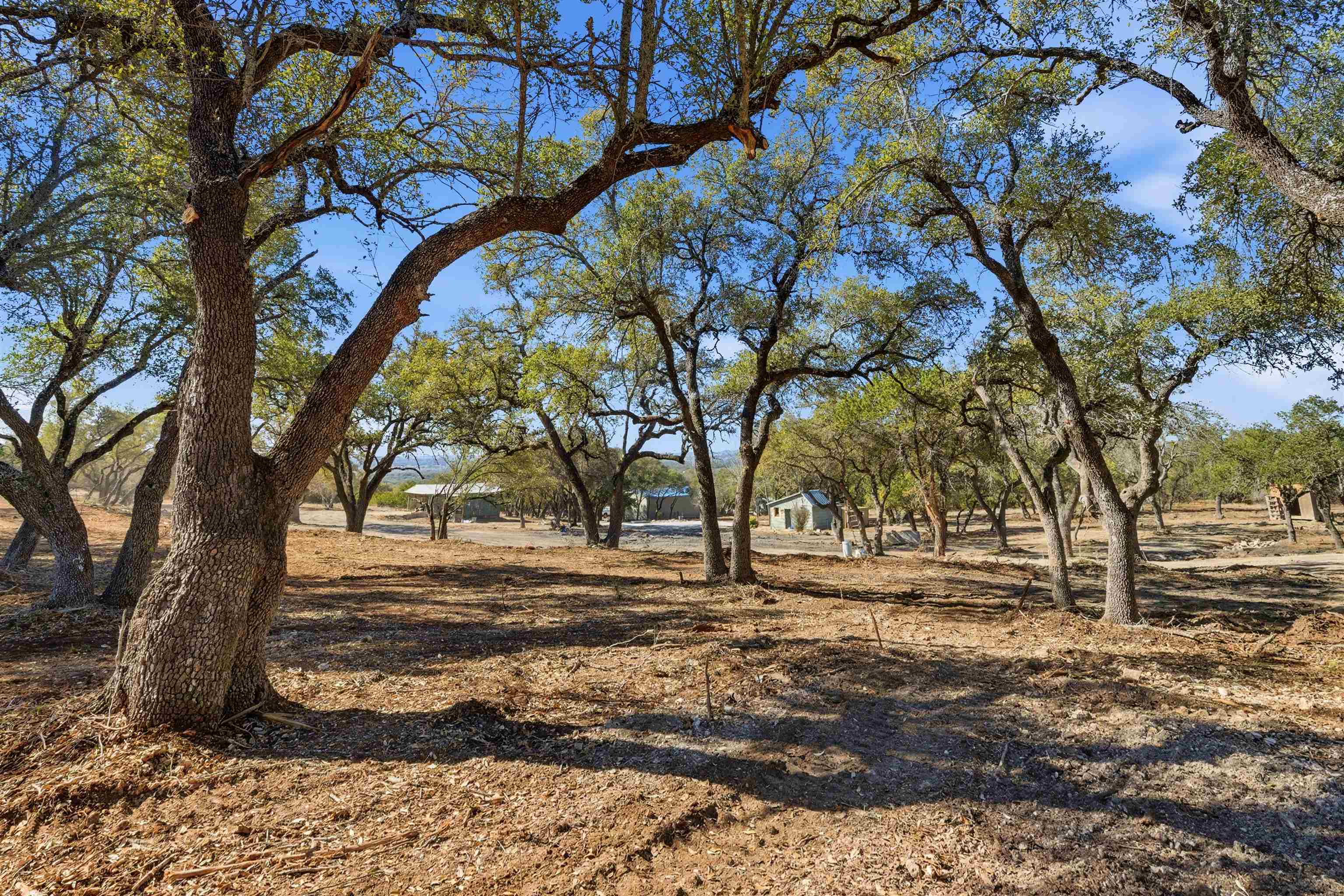 418 Polvado Round Mountain, TX 78663 - Photo 17 of 26 a view of a yard with trees
