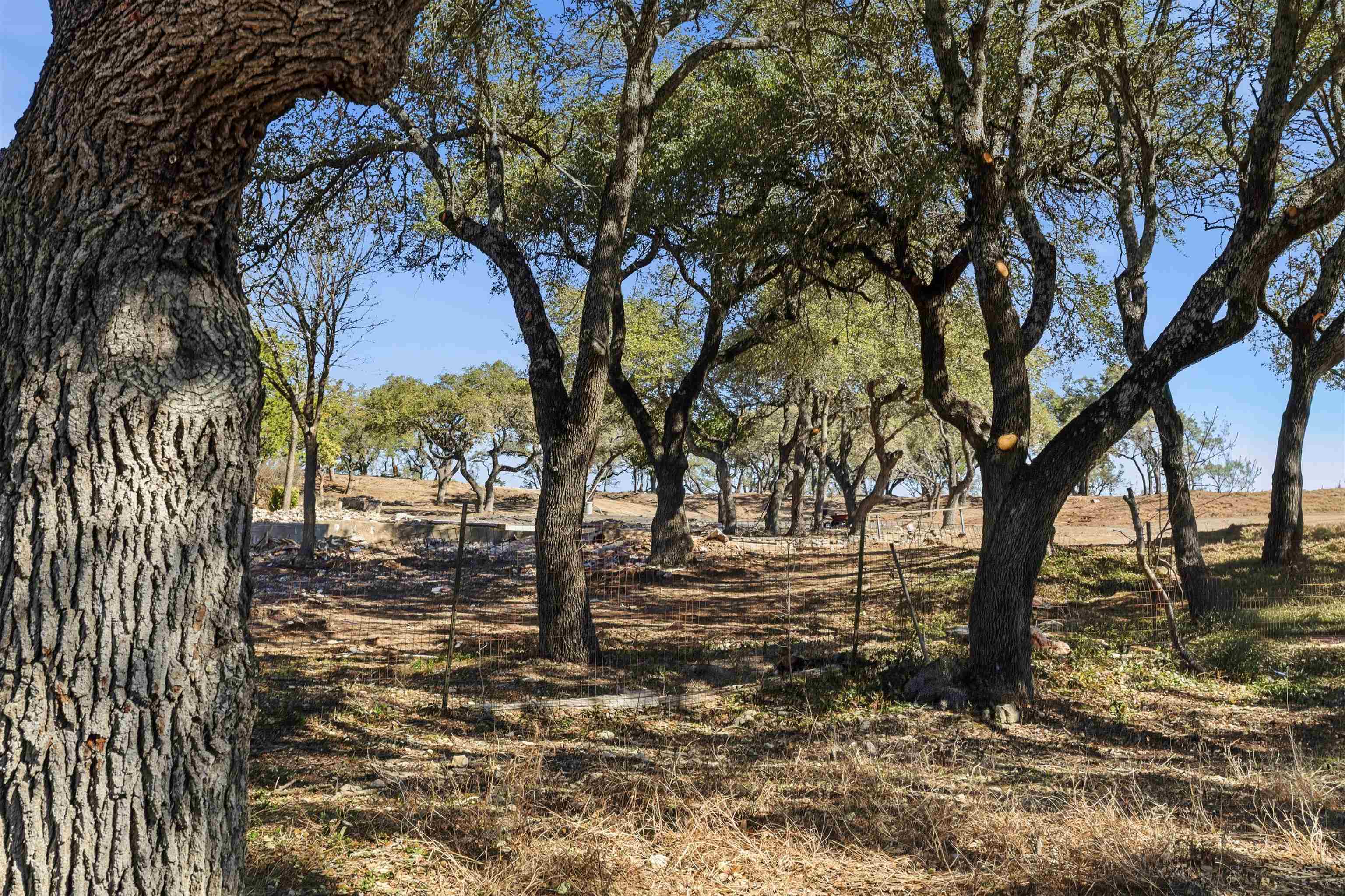 418 Polvado Round Mountain, TX 78663 - Photo 21 of 26 a view of outdoor space with lots of trees