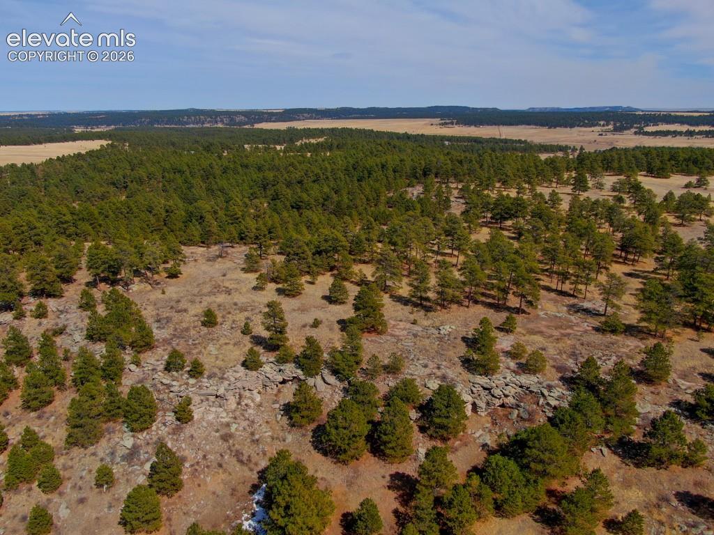 18673 North Elbert Road Elbert, CO 80106 - Photo 22 of 29 Drone view