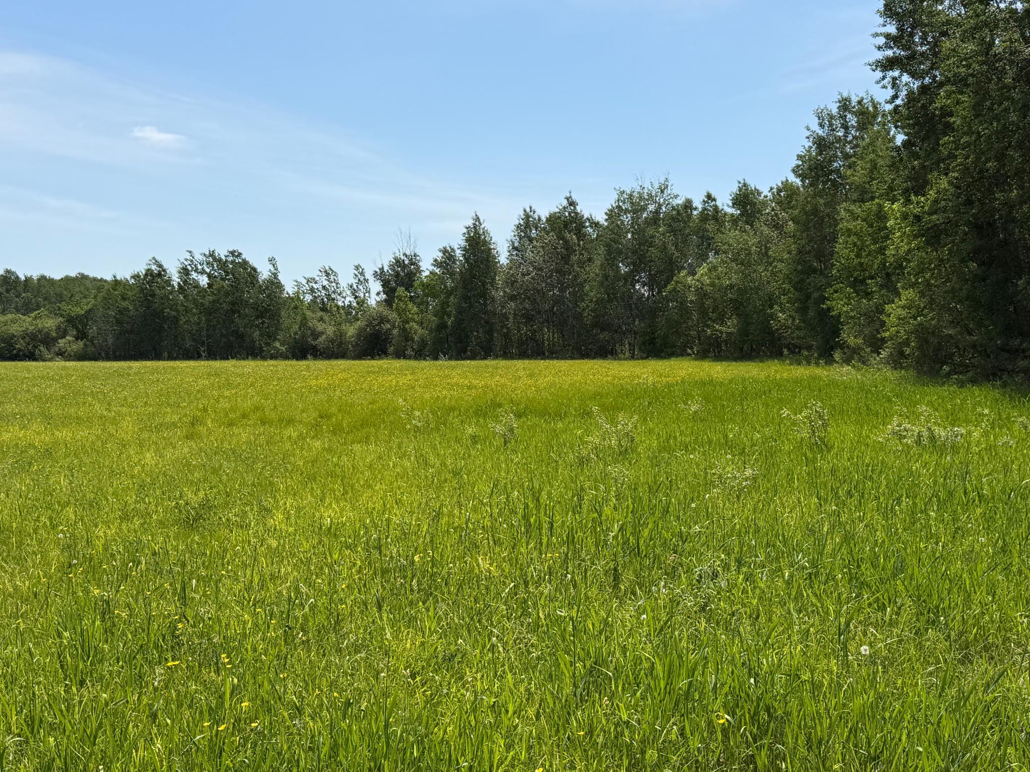 Tbd-b 180th Street Milaca, MN 56353 - Photo 25 of 80