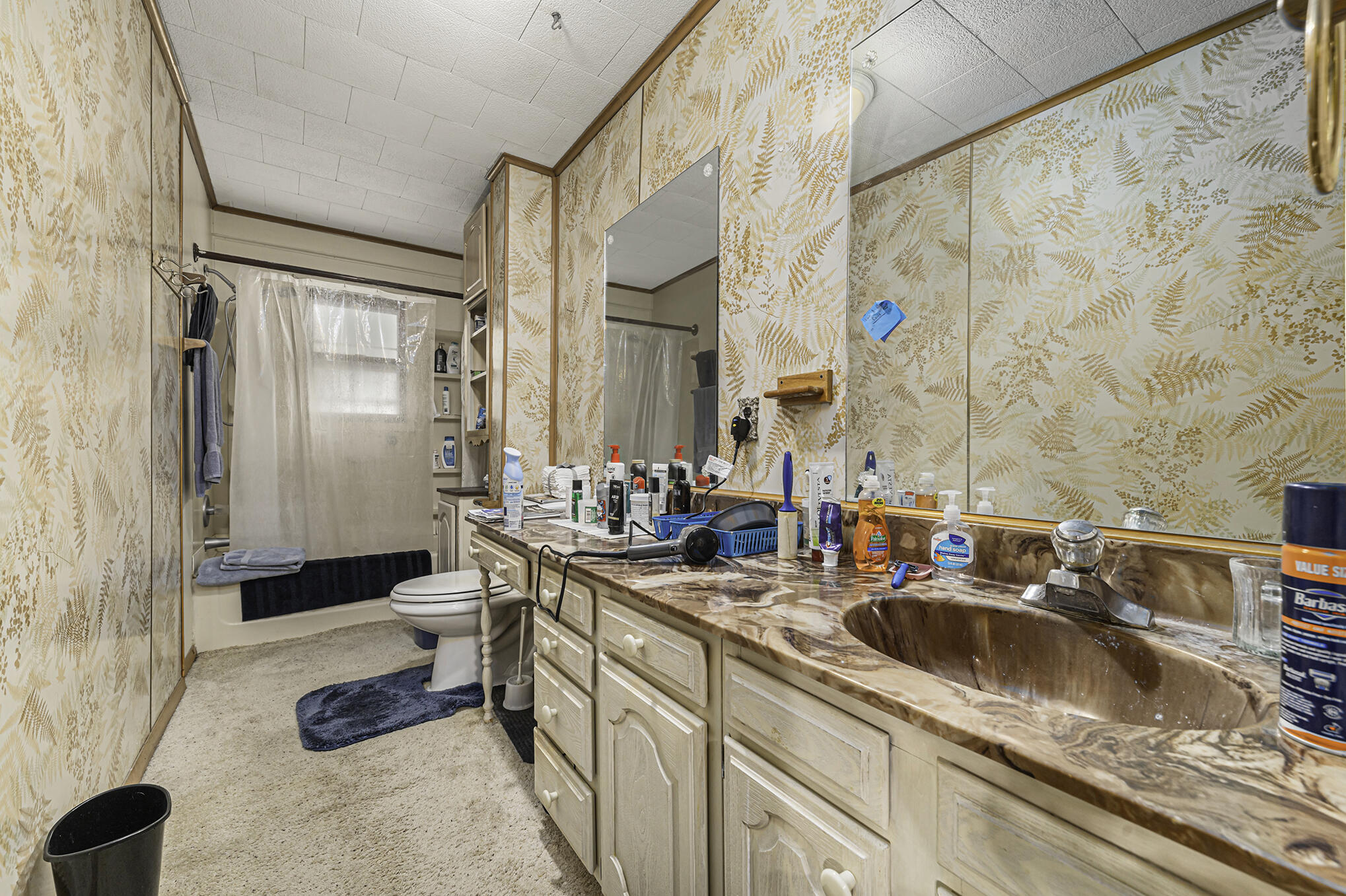 1016 South Constantine Street Three Rivers, MI 49093 - Photo 8 of 20 Converted_11