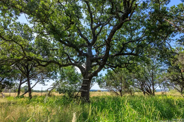 a backyard of a house with lots of green space and garden