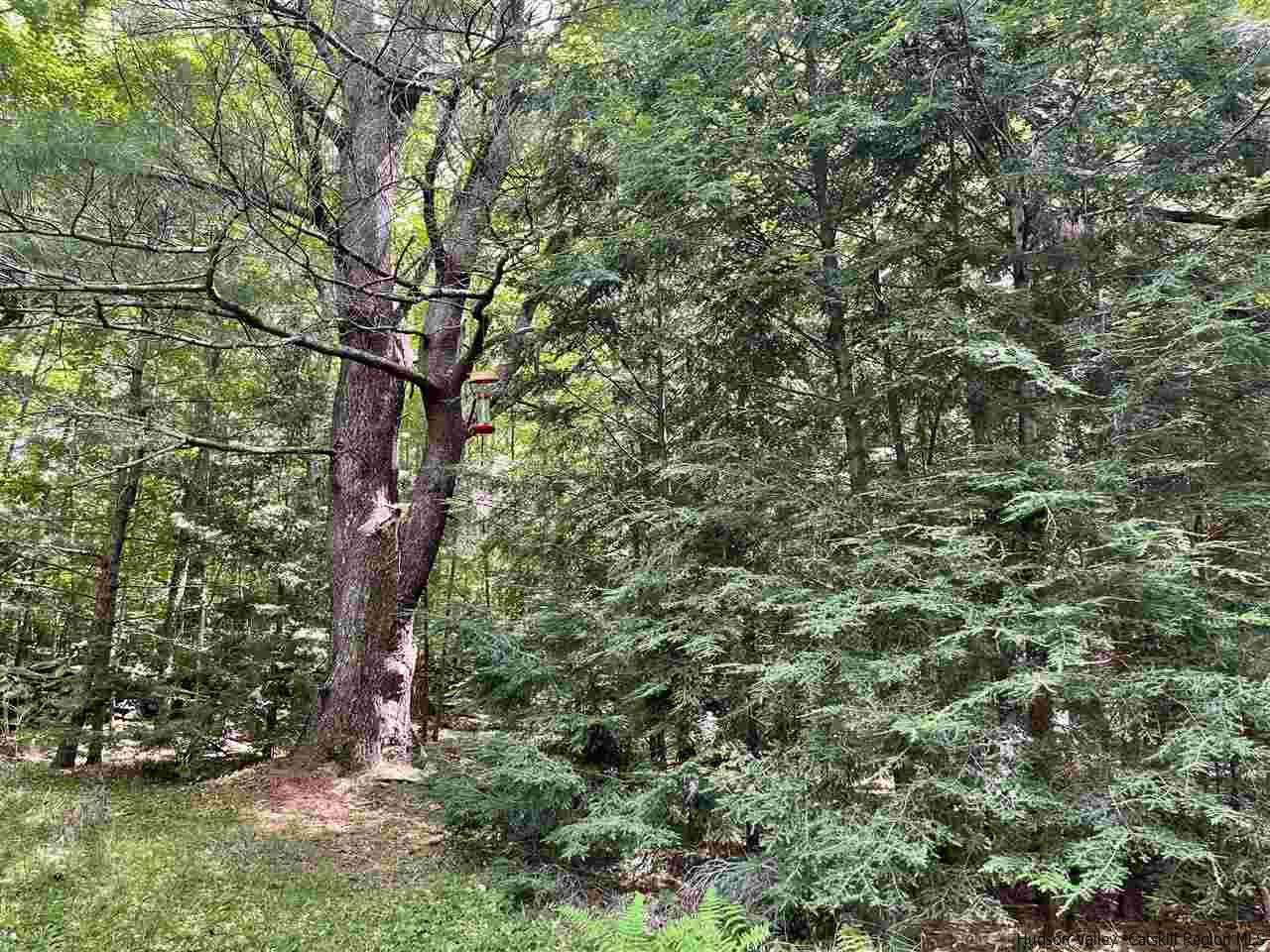 413 Tarigo Road Fleischmanns, NY 12430 - Photo 32 of 35 Photo 32