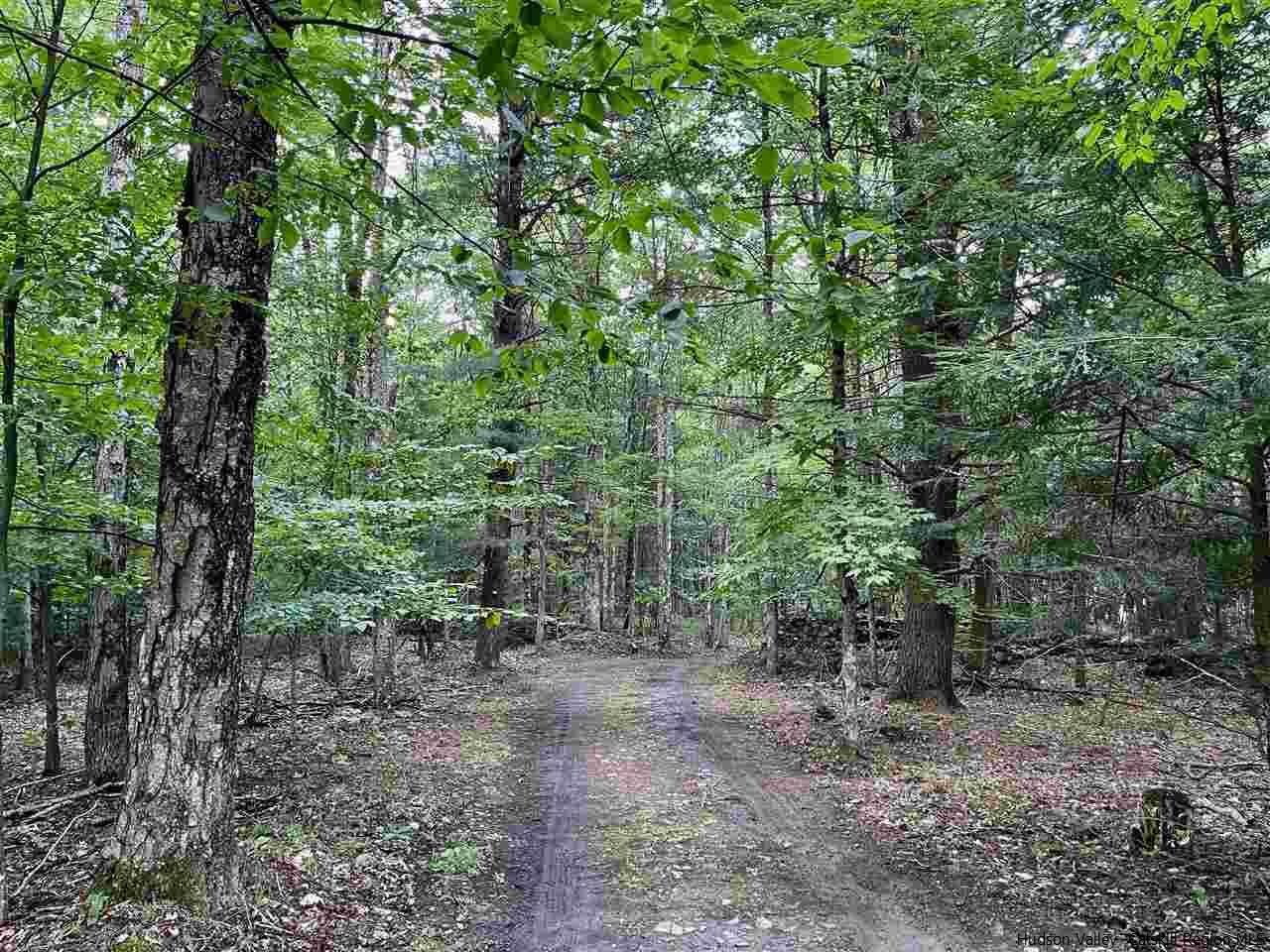 413 Tarigo Road Fleischmanns, NY 12430 - Photo 35 of 35 Photo 35