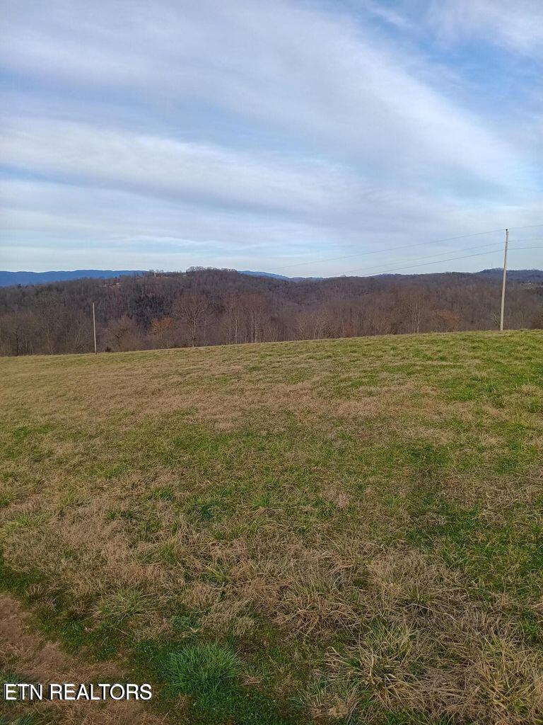 Lot 4 King Bend Road Cumberland Gap, TN 37724 - Photo 2 of 3 IMG_1041