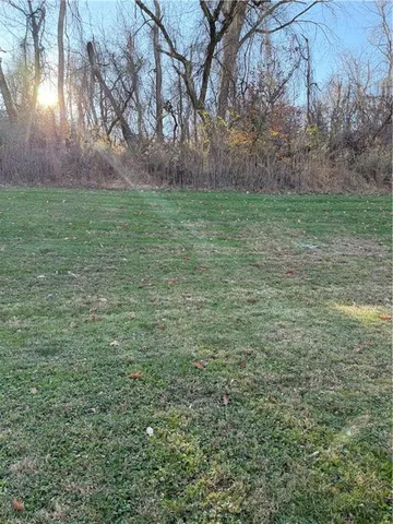 a view of outdoor space and yard