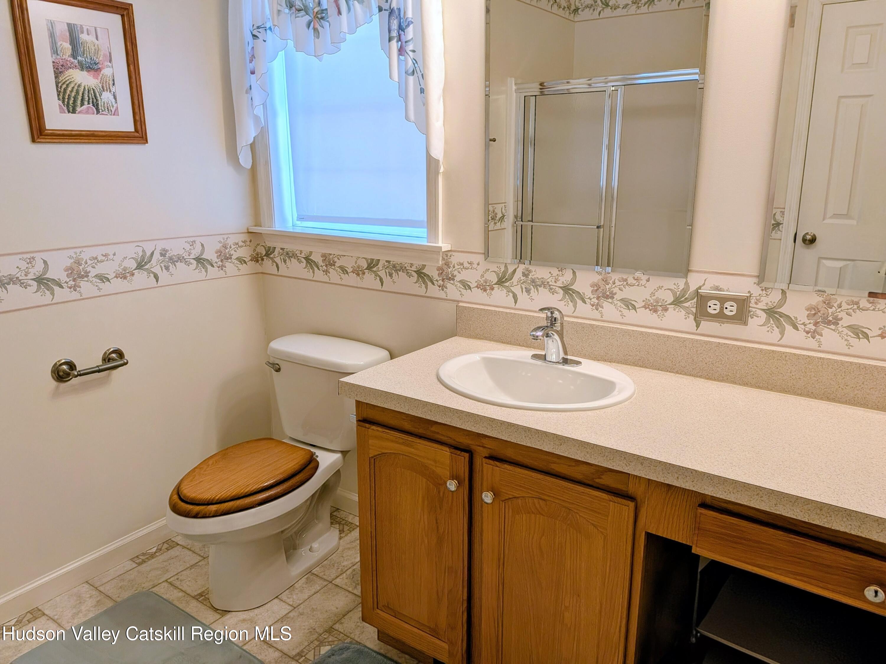 834 Co Rte 19 Elizaville, NY 12523 - Photo 20 of 32 a bathroom with a sink a toilet and mirror