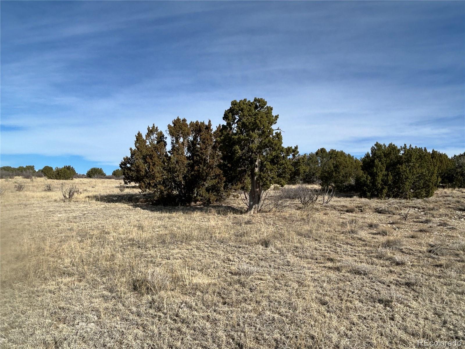 Lot 122 Ghost River Ranch Rye, CO 81069 - Photo 12 of 21