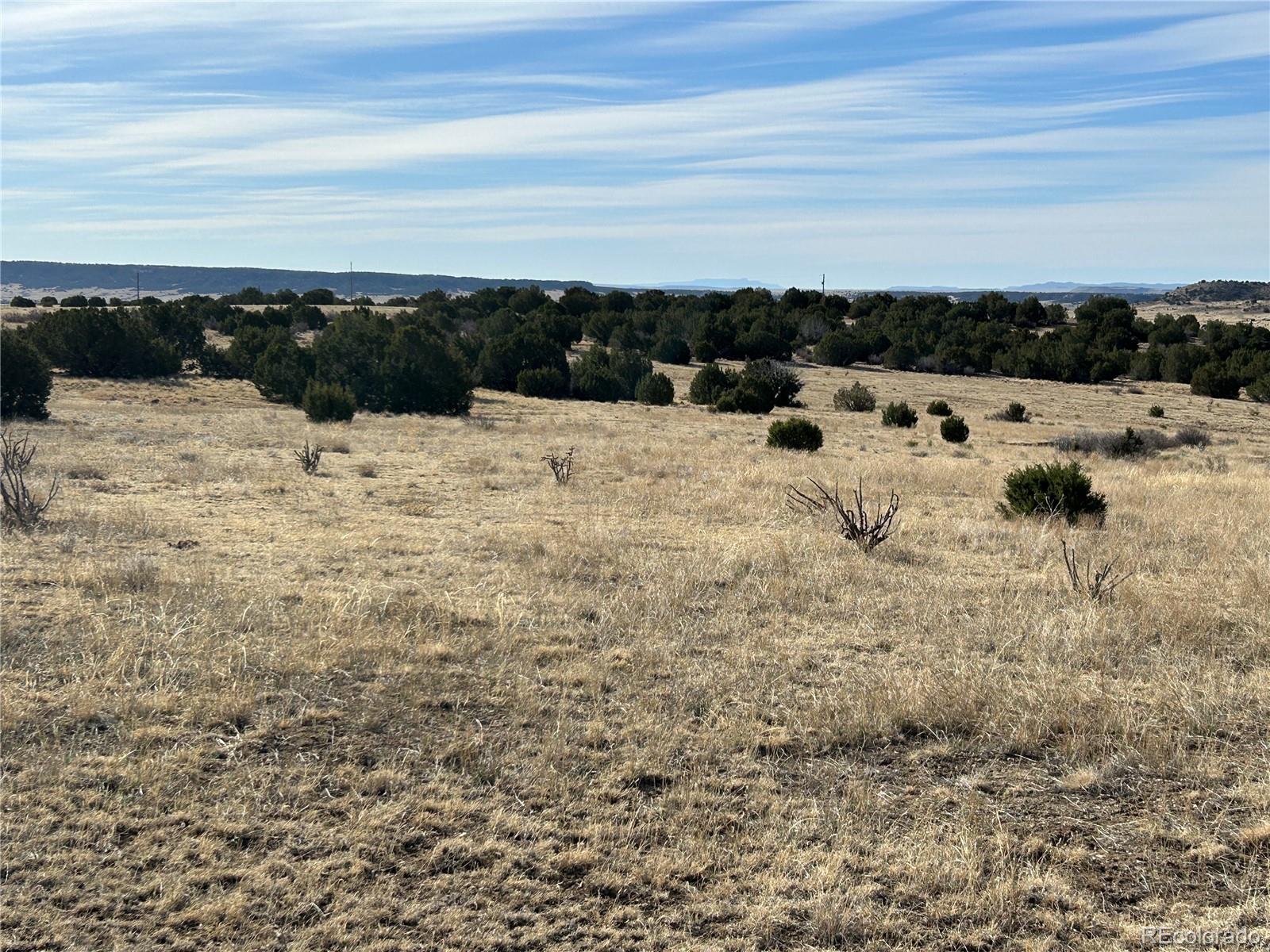 Lot 122 Ghost River Ranch Rye, CO 81069 - Photo 13 of 21
