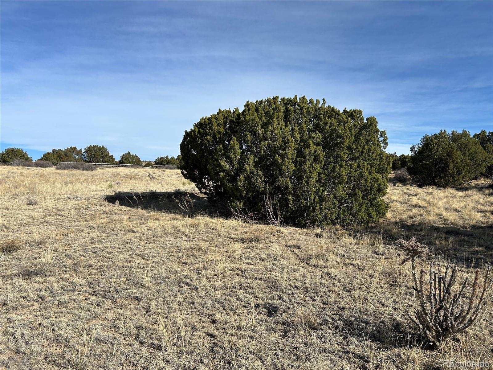 Lot 122 Ghost River Ranch Rye, CO 81069 - Photo 14 of 21