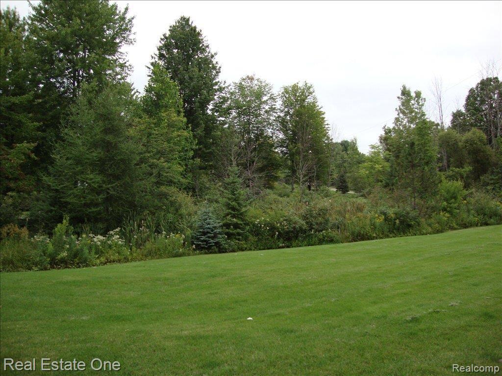 4107 Morgan Road Lake Orion, MI 48359 - Photo 23 of 23 yard 2