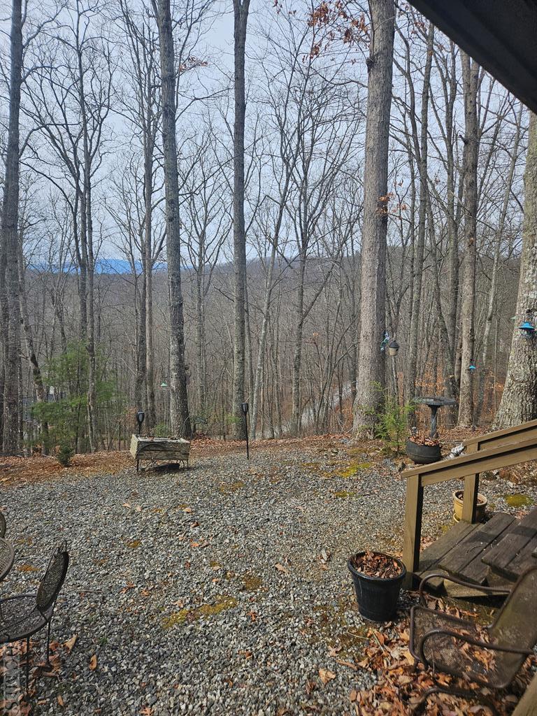 903 Scarlett Ridge Sylva, NC 28779 - Photo 21 of 37 Gallery Image 21