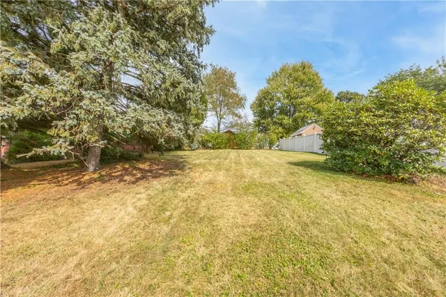 a view of yard with large trees