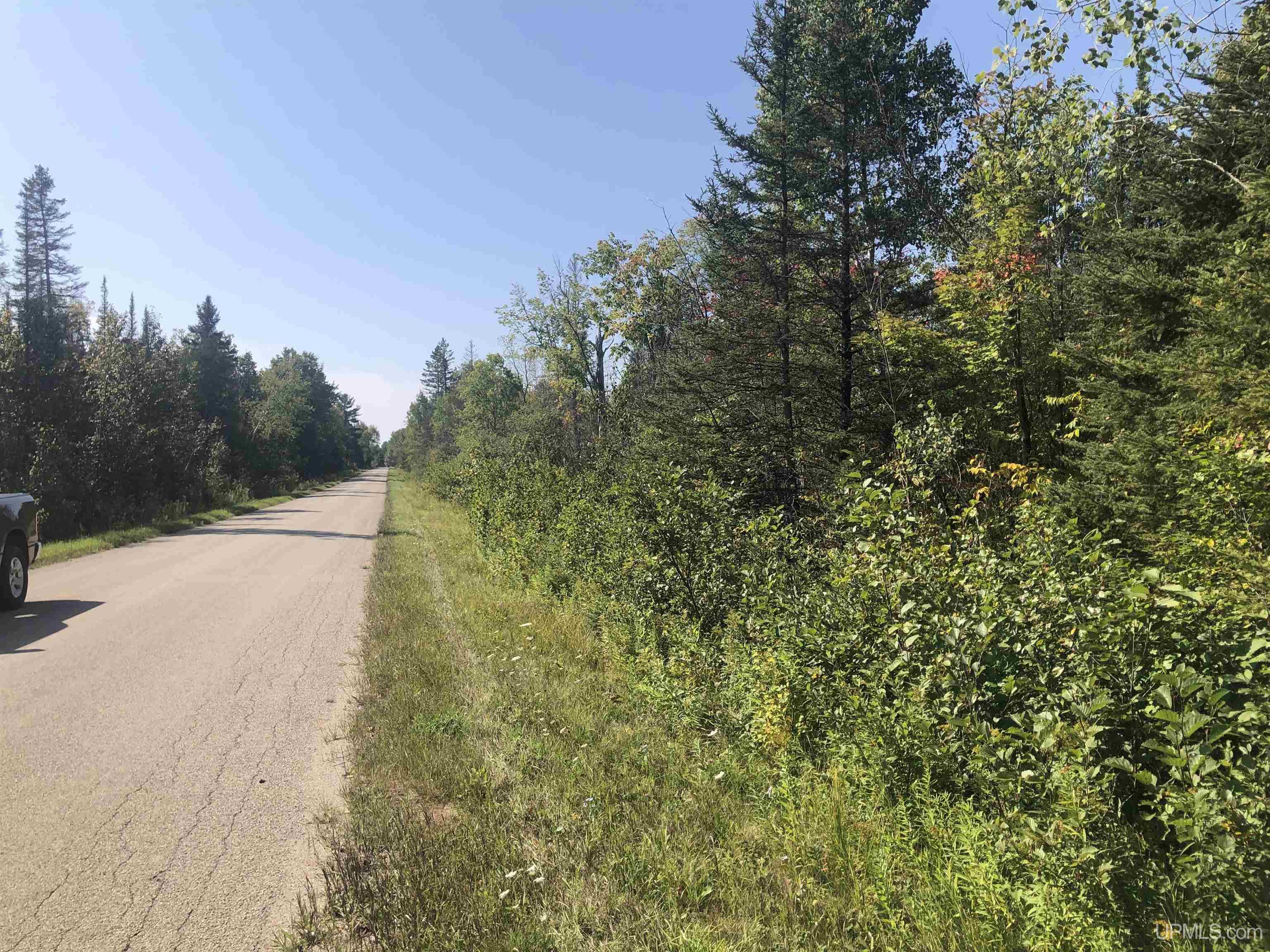 Tbd Tbd Friday Road Rapid River, MI 49878 - Photo 4 of 4