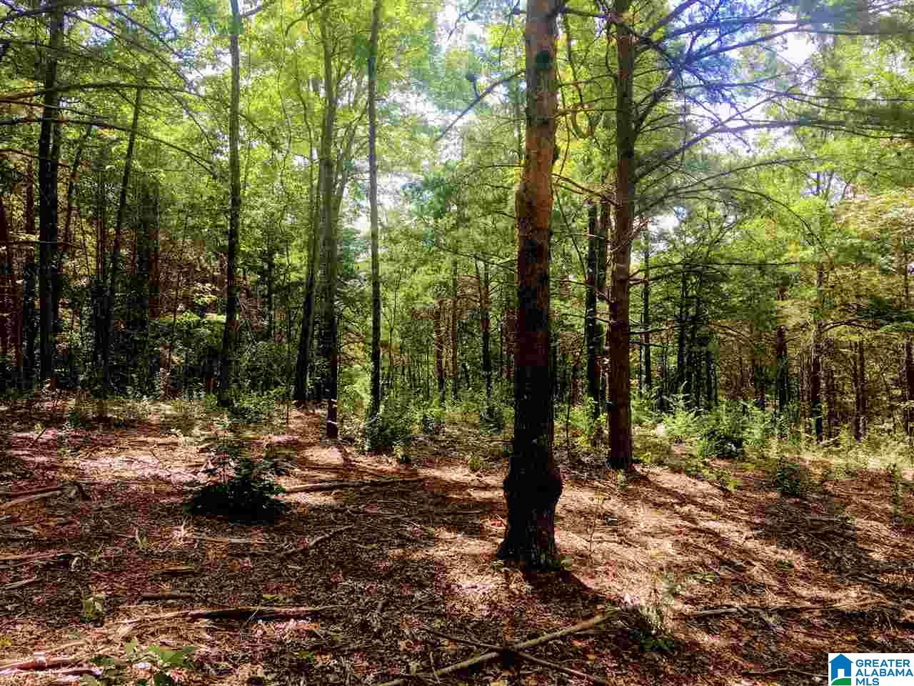 2565 Kentuck Road, Unit 4569 Oxford, AL 36203 - Photo 23 of 46