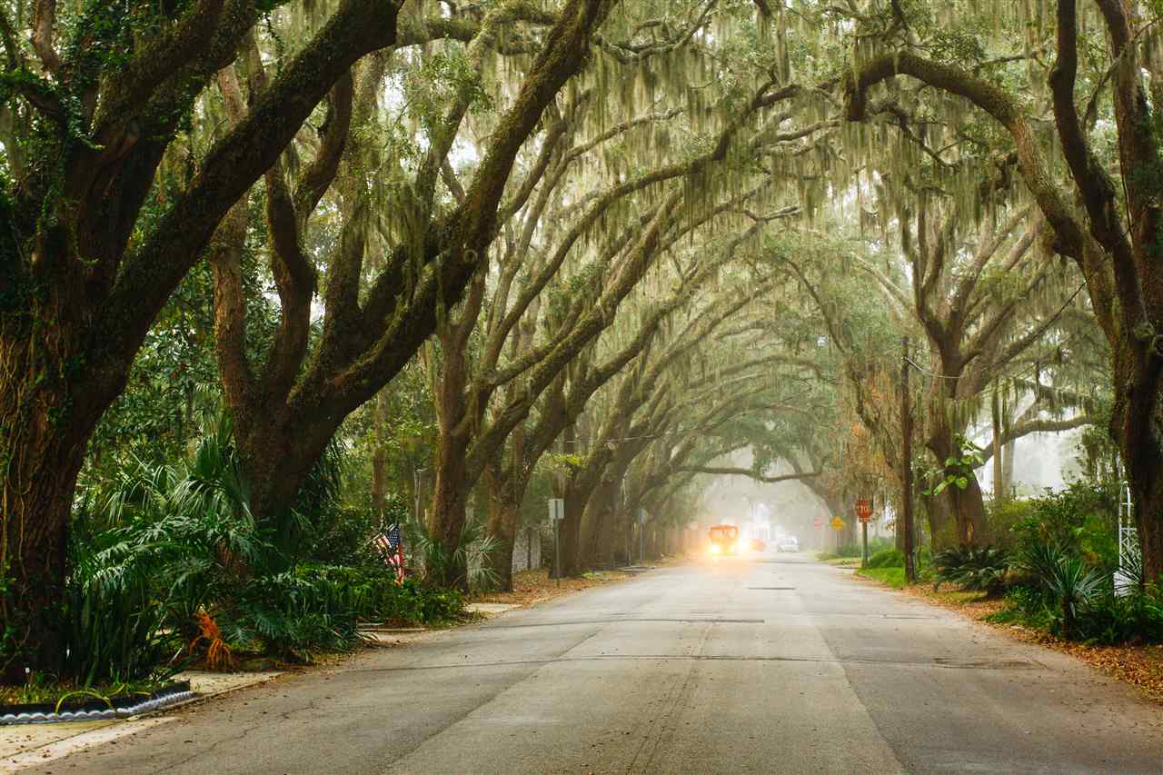 10 Magnolia Avenue St. Augustine, FL 32084 - Photo 13 of 13