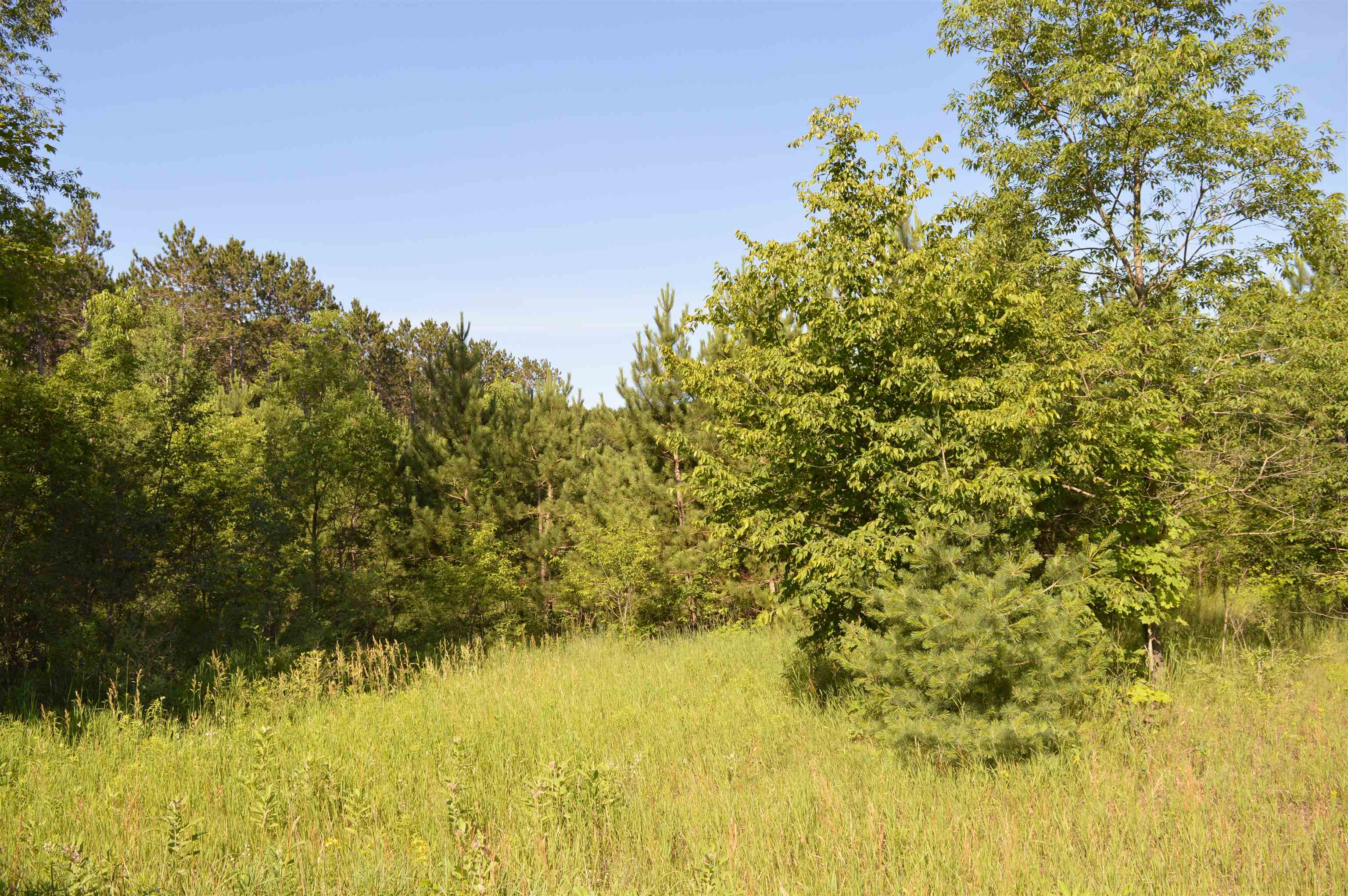 Northeast Holly Road, Unit LOT: A Kalkaska, MI 49646 - Photo 2 of 27