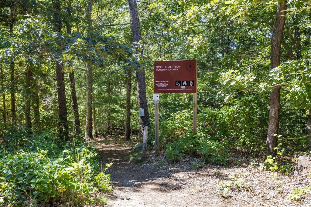 80 Log Cabin Road Eastham, MA 02642 - Photo 41 of 41 a view of a tree with a bench