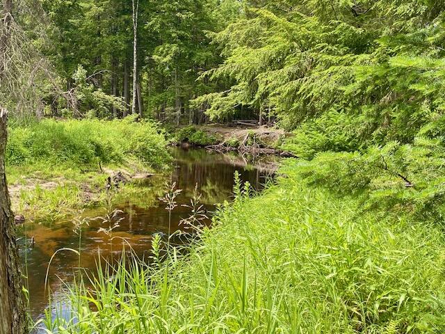 0 Pratt Road Parsonsfield, ME 04047 - Photo 9 of 14 IMG_3113