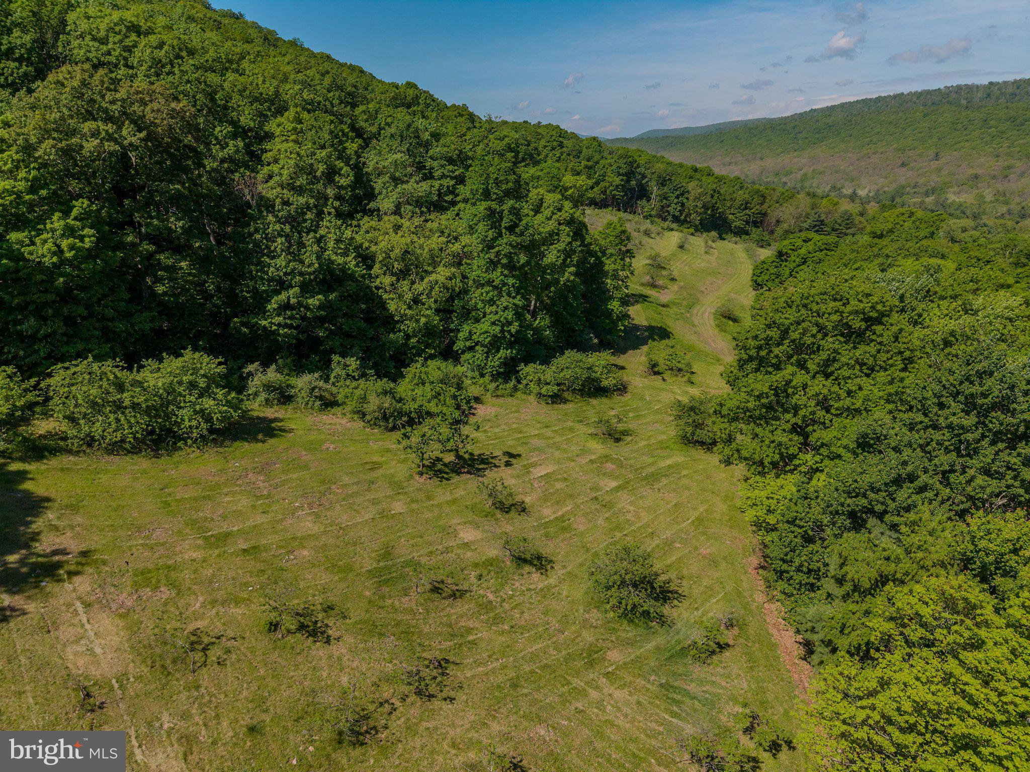 1520 Lingle Valley Road Milroy, PA 17063 - Photo 6 of 144 Lush green hills under a clear sky.
