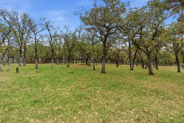 a view of house with backyard