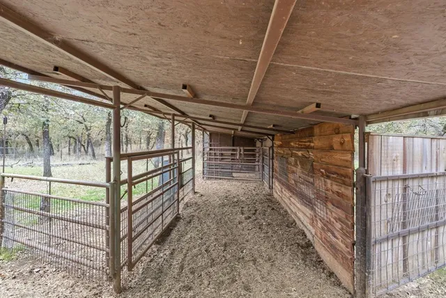 a view of a park with a large tree
