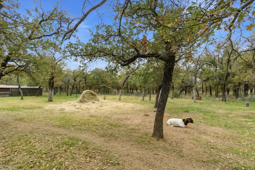 456 Prickly Pear Trail Gordon, TX 76453 - Photo 30 of 39