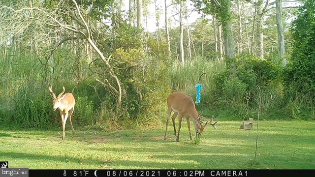 26765 Rumbley Road Westover, MD 21871 - Photo 42 of 47 Gallery Image 42