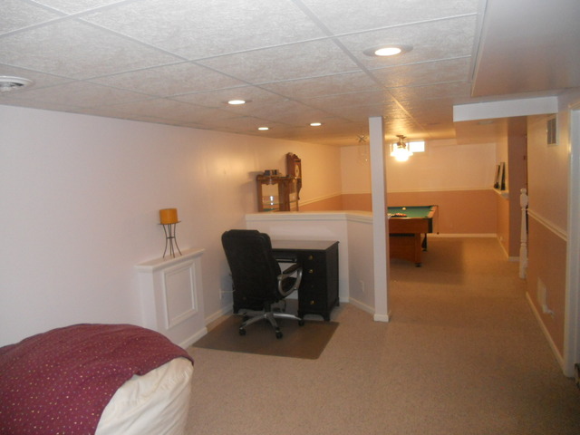 336 Douglas Road Batavia, IL 60510 - Photo 6 of 18