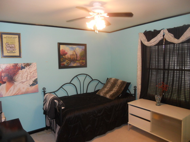 336 Douglas Road Batavia, IL 60510 - Photo 8 of 18