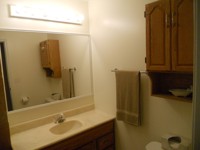 336 Douglas Road Batavia, IL 60510 - Photo 9 of 18