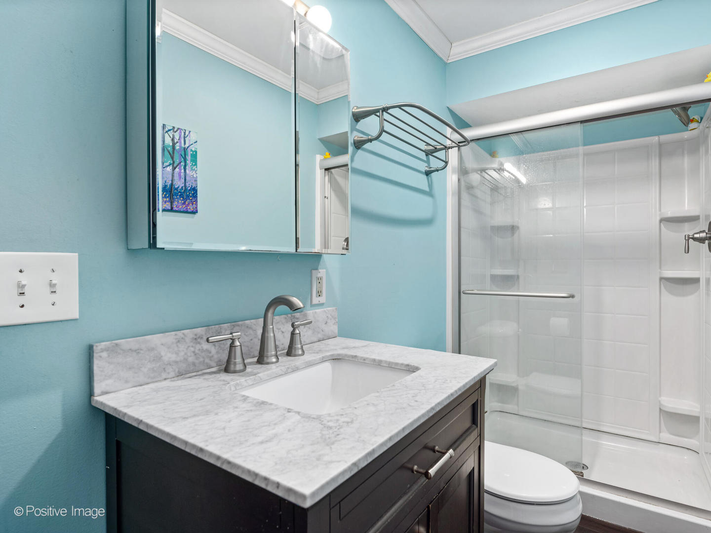 644 Swan Drive Grayslake, IL 60030 - Photo 14 of 17