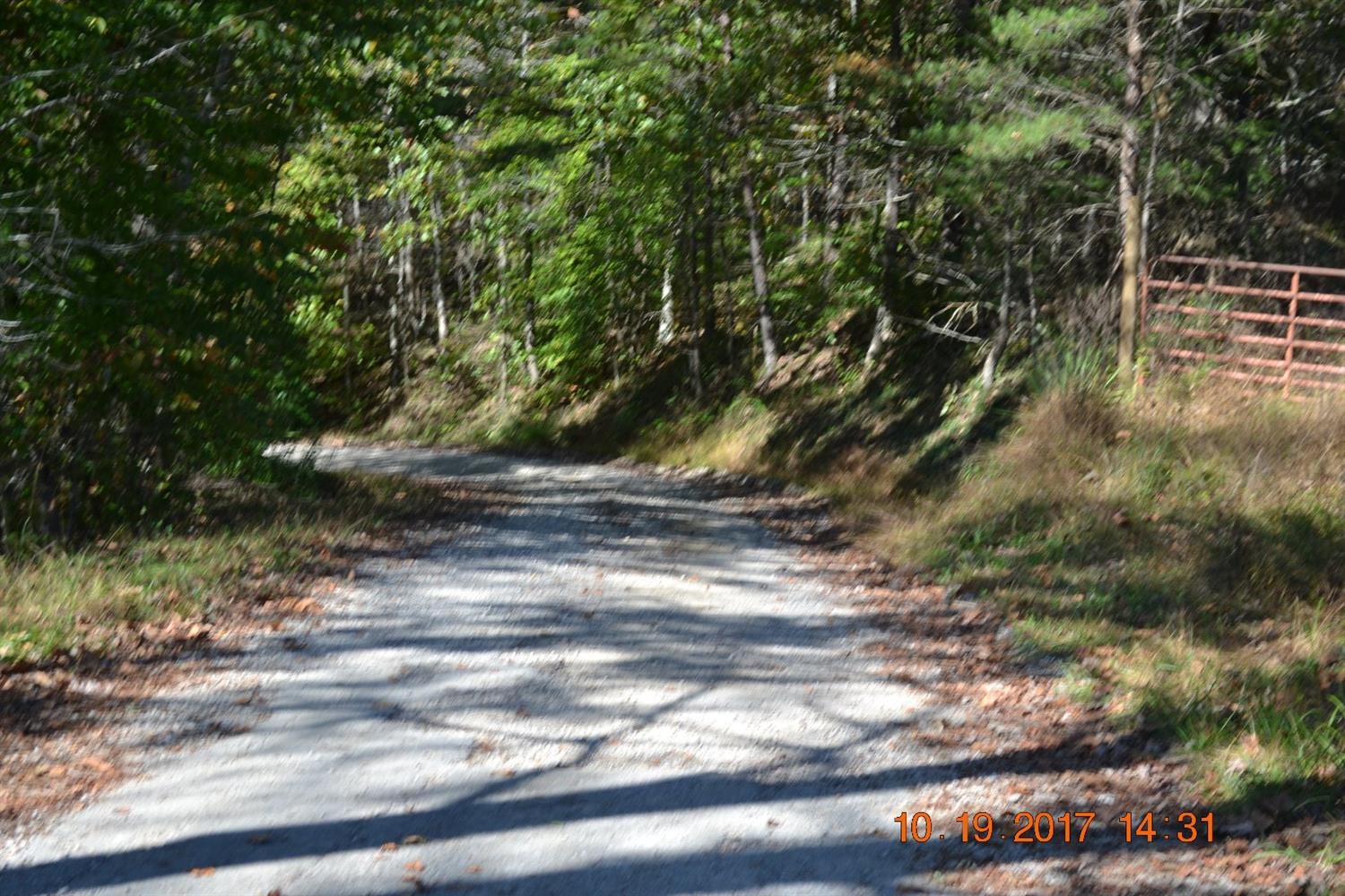 999 Coy Schell Road London, KY 40744 - Photo 1 of 9 Photo 1
