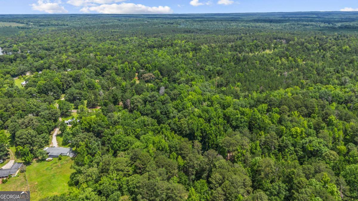195 Cold Branch Road Eatonton, GA 31024 - Photo 11 of 24