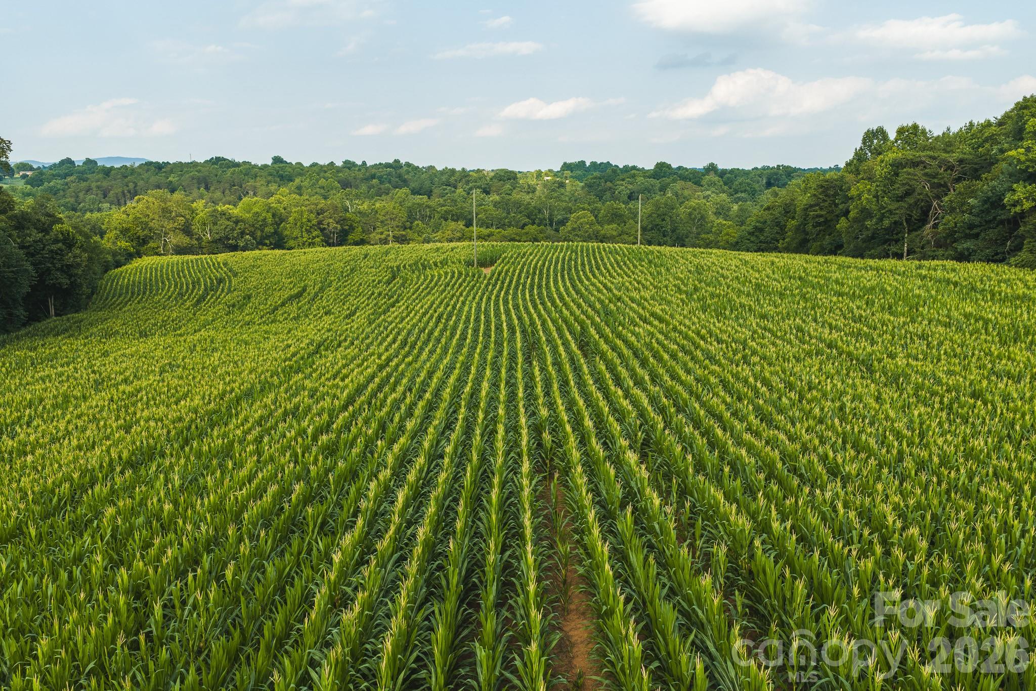 Tbd Sandbar Road Granite Falls, NC 28630 - Photo 42 of 43