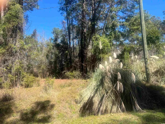 $45,000 | Tbd Tillmond Drive, Conway, SC 29526