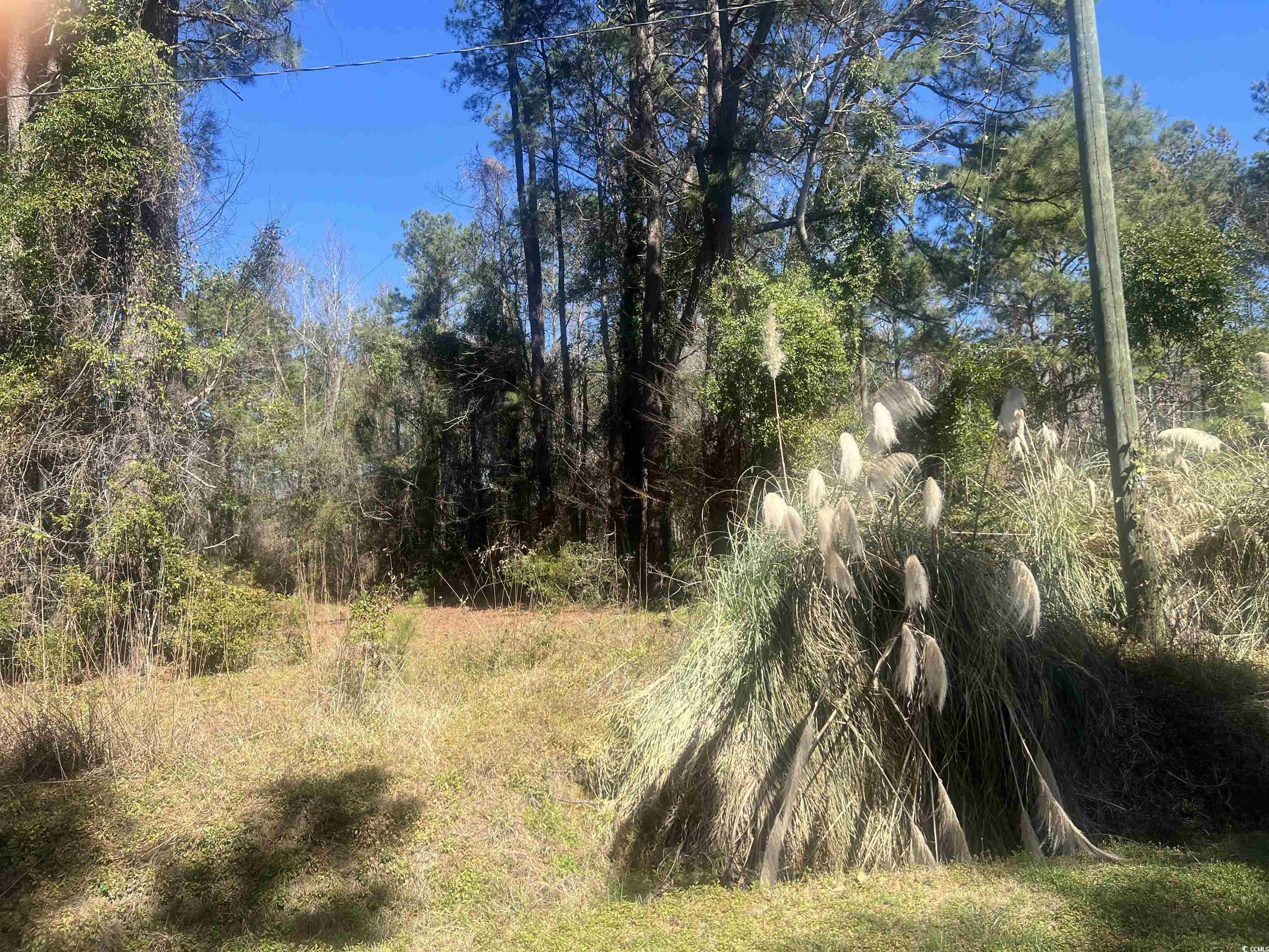 View of local wilderness featuring a wooded view