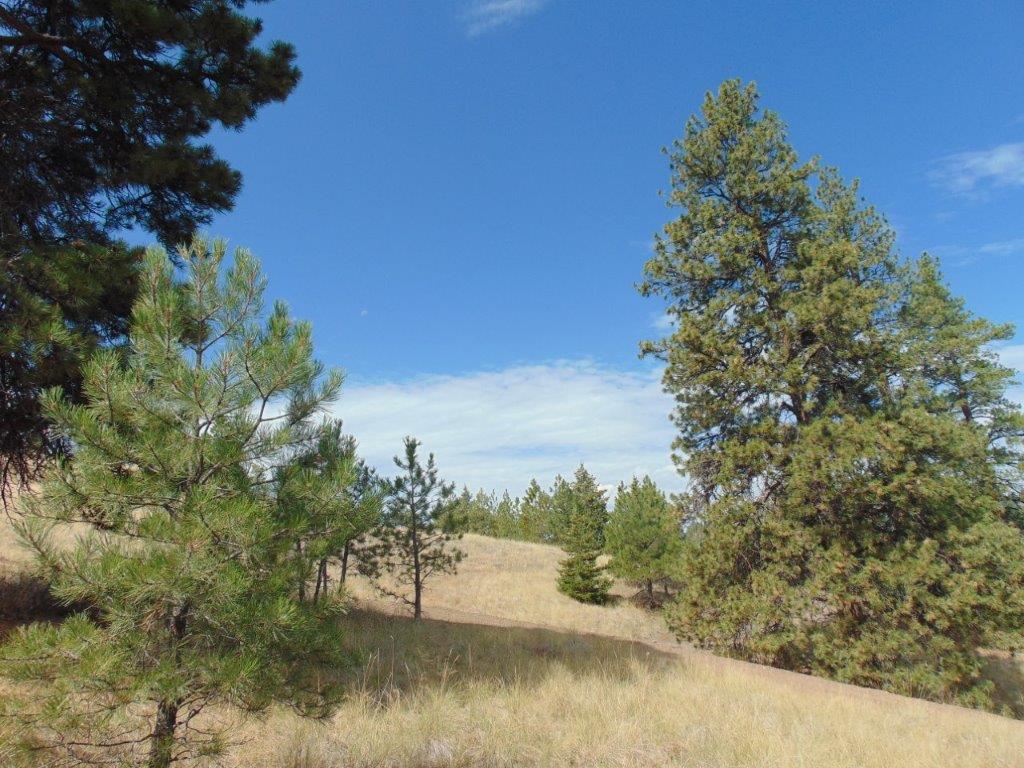 Tbd Shady Spring Lane Cascade, MT 59421 - Photo 73 of 78 Gallery Image 73