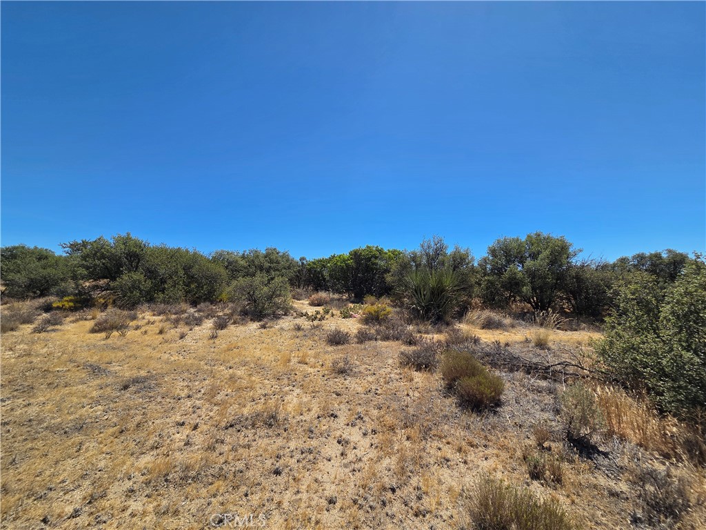 2 Terwilliger Road Anza, CA 92539 - Photo 4 of 7 Gallery Image 4