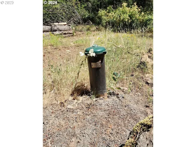 a building view with a outdoor space