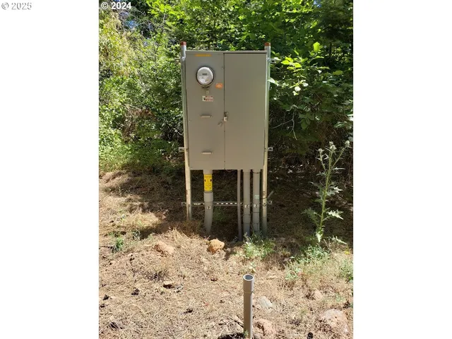 a outdoor space with tall trees