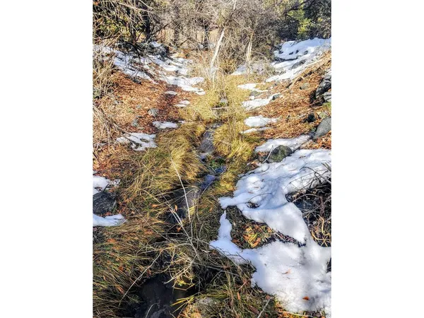 $495,000 | 9564 Highway 50, Howard, CO 81233