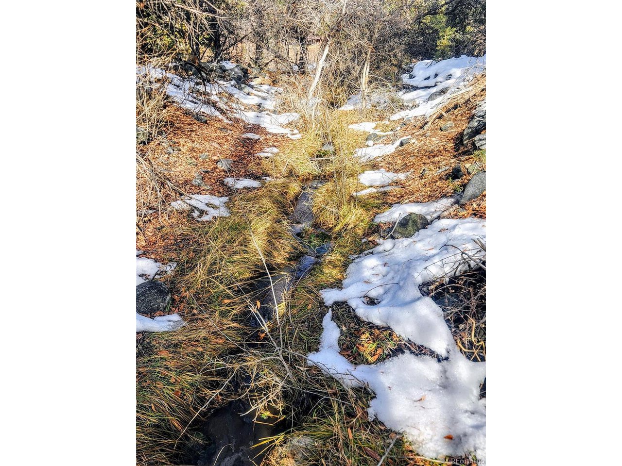 9564 Highway 50 Howard, CO 81233 - Photo 48 of 50 seasonal stream