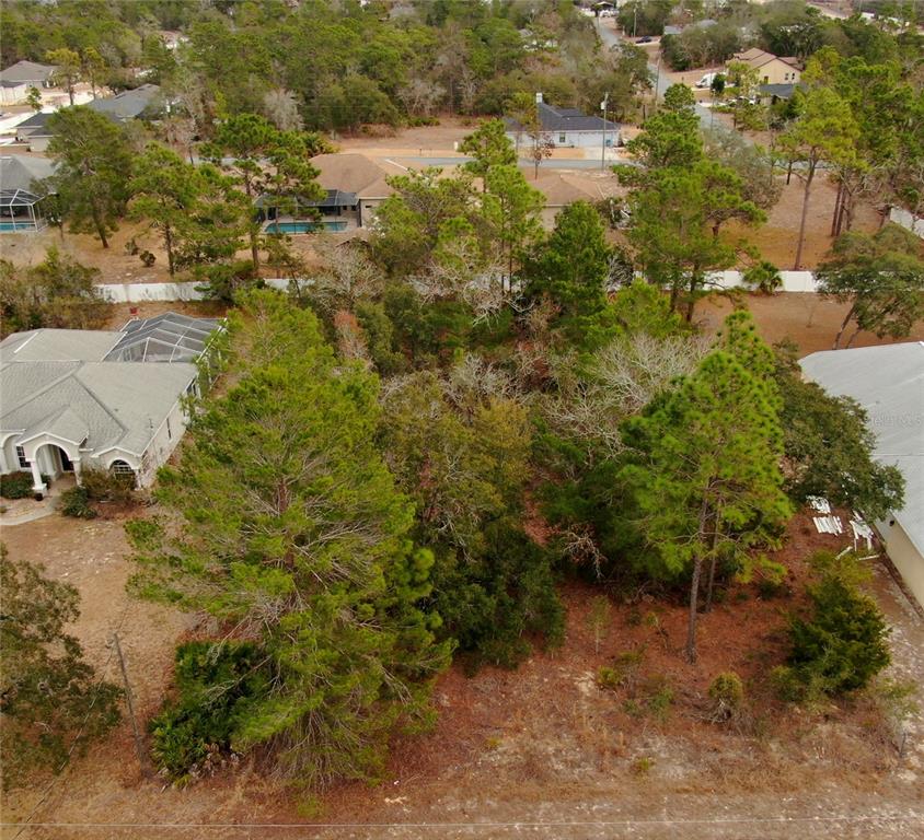 11072 Liberto Road Weeki Wachee, FL 34614 - Photo 5 of 6